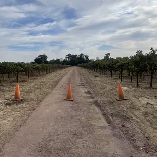 Beginning of hike trail