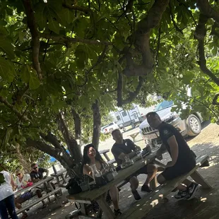 Under the old fig tree.