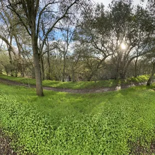 outside