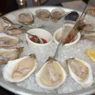 Oysters Happy Hour