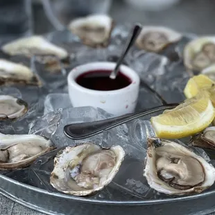 Oysters