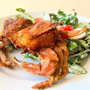 Rockfish stuffed soft crab with watercress salad.