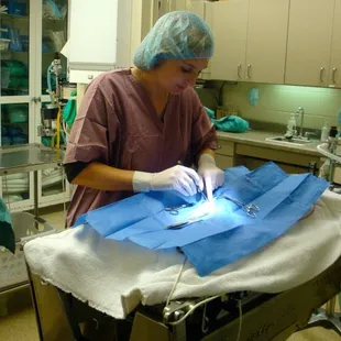 Dr. Stephanie Bradley