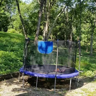 Before Hermes Landscaping our yard was a wet mess