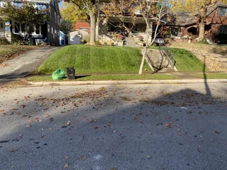 Lawn and Landscape Solutions