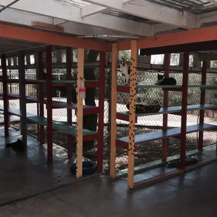 Outdoor facilities. It was a bit hot but they have fans goings that make it significantly cooler for the cats