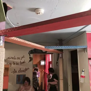 Boards from room to room for the cats to play and lounge