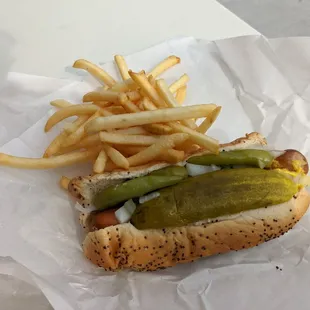 a hot dog and french fries