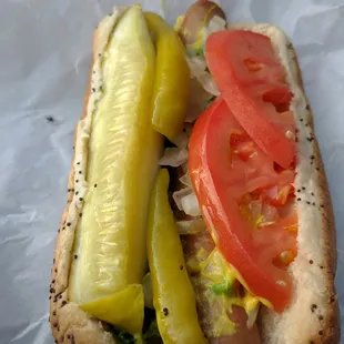 Chicago Dog