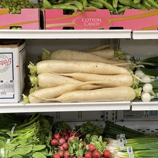 a variety of vegetables