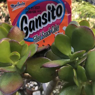 Fruit snack (1.49)