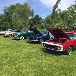 Cruise