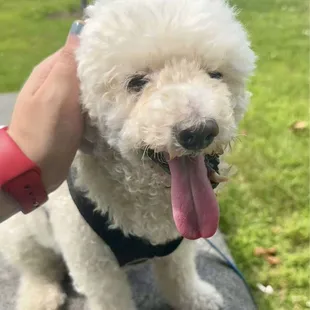 A side of bacon made this little dude really happy!