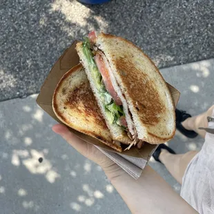 a person holding a sandwich