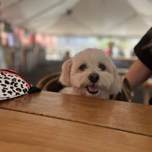 Still coming to Heros