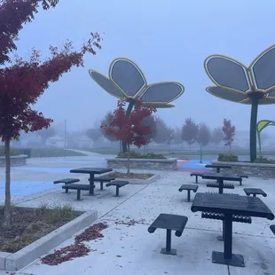 November 15, 2024 - Shade flower structures not needed today, but very cool.