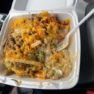 carne asada fries