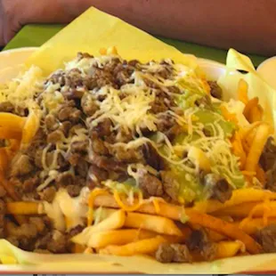 Carne Asada Fries - trust me they are bigger in person