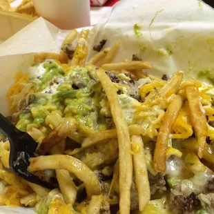 carne asada fries