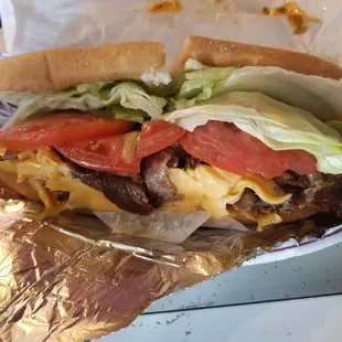 Cheese steak sub