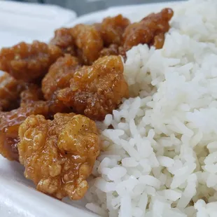 a plate of rice and meat