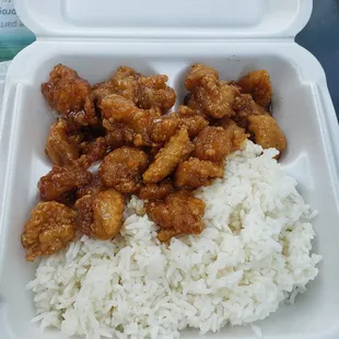 a container of rice and chicken