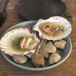 Scallops in beef talow