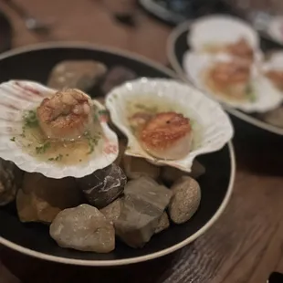 Sea_faring_scallops