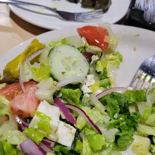 Half eaten greek salad and grape leaves, we were hungry and dug in