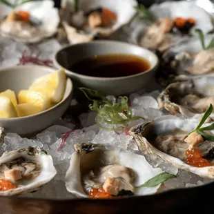 Oysters