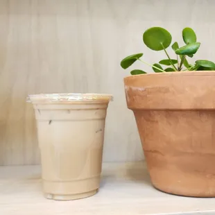 Iced Vanila Latte with oatmilk.