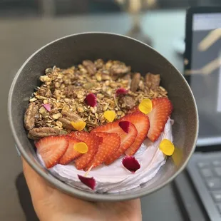 Yogurt and Nola