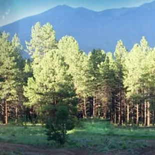 One of our annual charity events is the Toys-4-Tots Flagstaff to Grand Canyon Bike Race sponsored by Fat Tire...