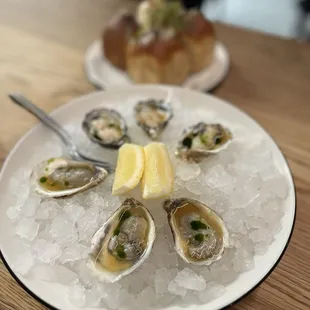 Oysters