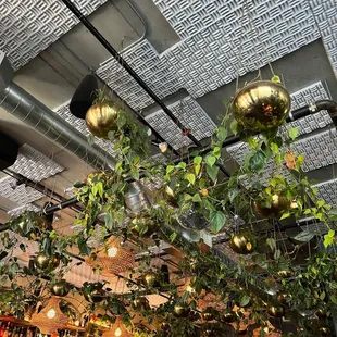 interior, paella