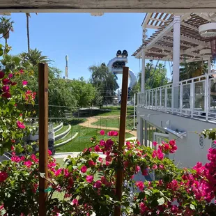 Beautiful and serene setting