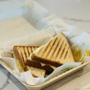 Cheese Panini Sandwich