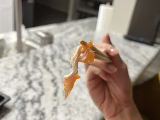 Hikari Sushi & Ramen