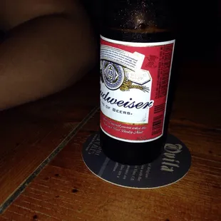 Birthday bud and jack cheers