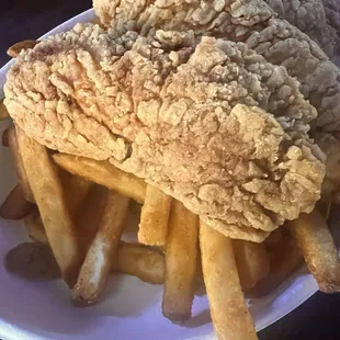Chicken Tenders and Fries