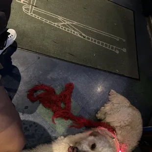 Stoped for some water and an espresso martini!