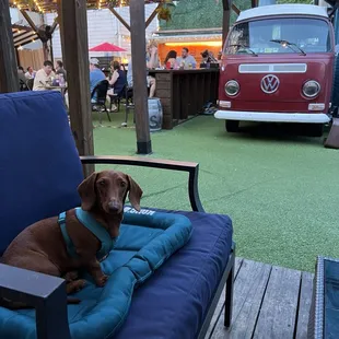 Back seating area, view from a cabana