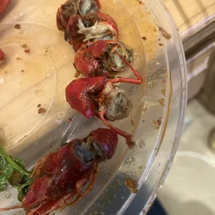 Crawfish