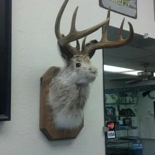 At the Hi-Life barber shop