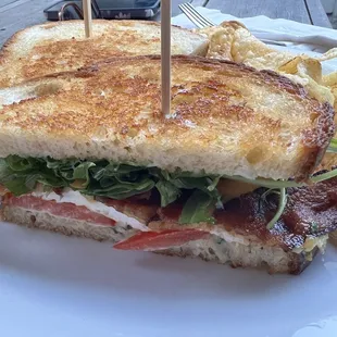 Egg Sandwich