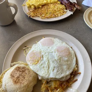Haystack  IG: @feedyo_self
