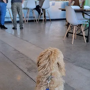 Cody enjoying his first trip here.