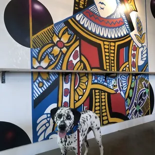 Dog friendly-- art in line with the deck of cards theme of Factory 52