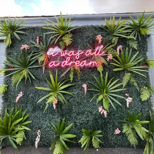 Neon signs and Live Plant Wall