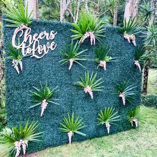 Live Plant Wall Backdrop